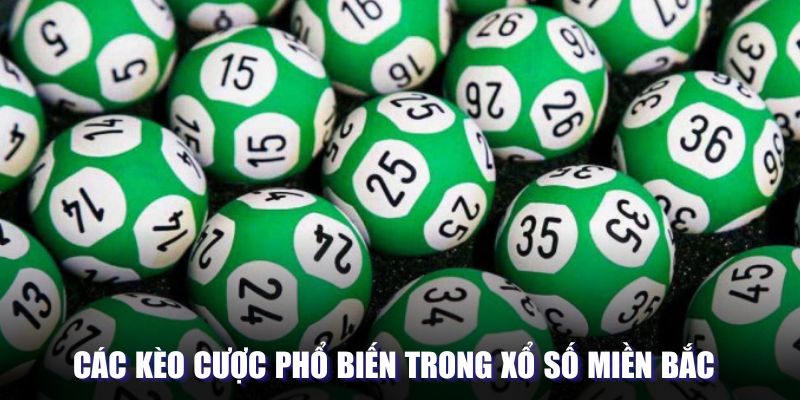 Các kèo cược phổ biến ở xổ số tại miền Bắc