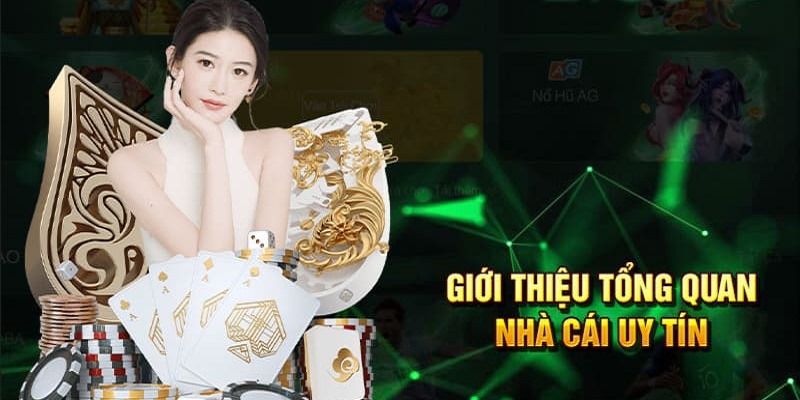 gioi thieu pg88 thong tin tong quan